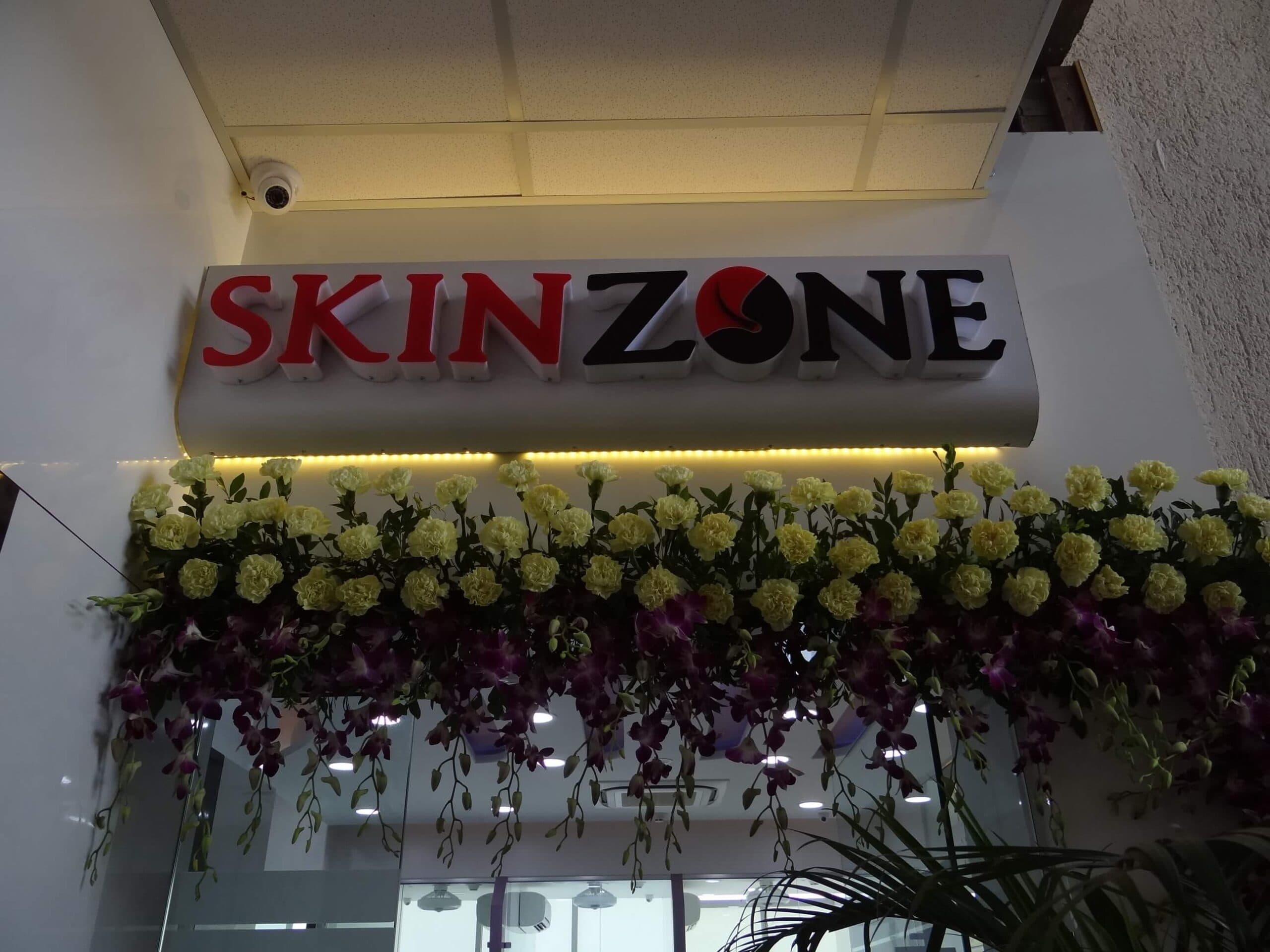 Skinzone 2